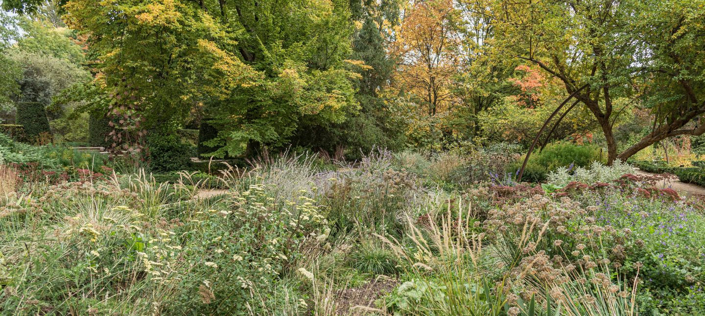 Natuurlijke en Ecologische Tuin