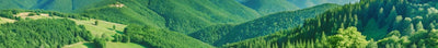 Terras in bergklimaat