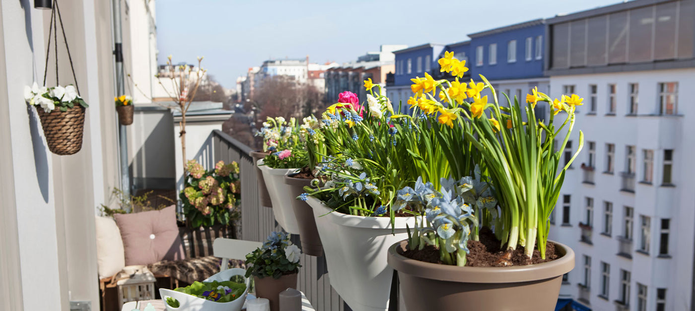 Bloeiend balkon in de lente