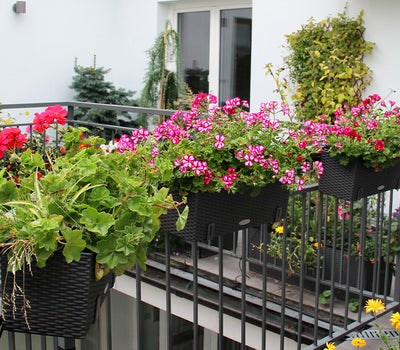 Geurig balkon