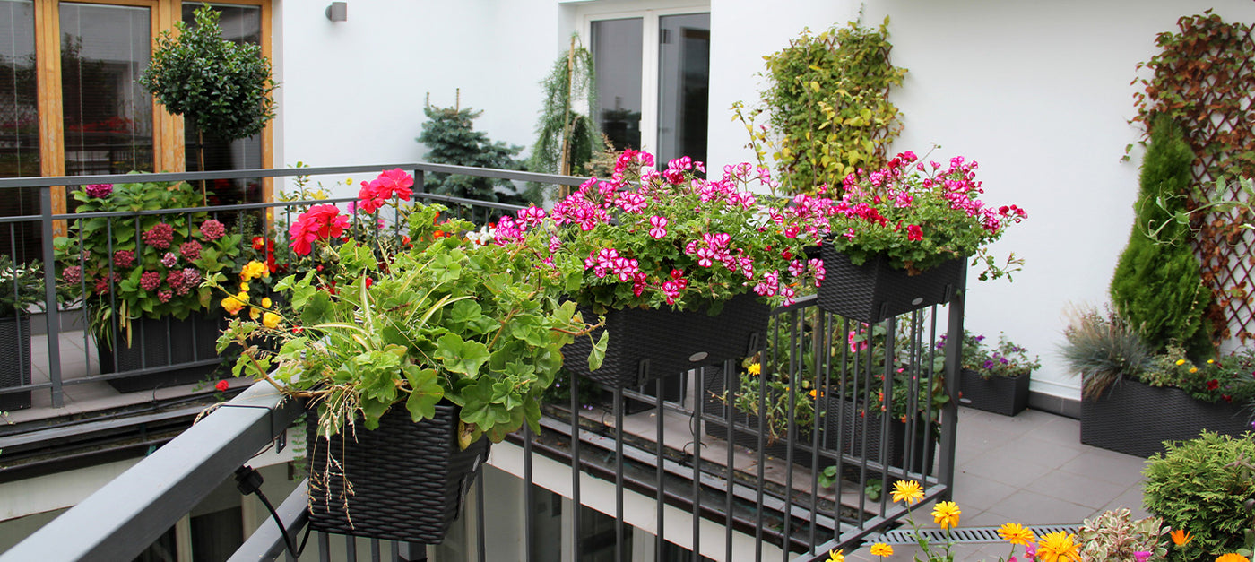 Geurig balkon