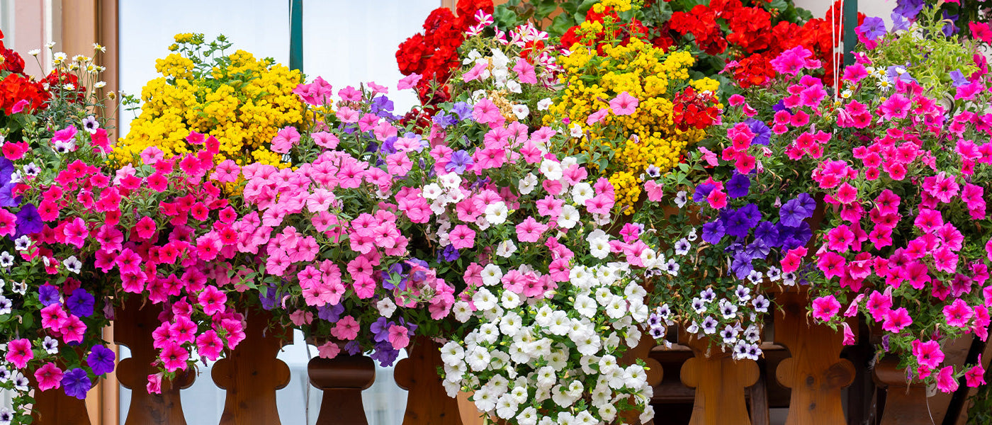 Een fleurig balkon tot 30%