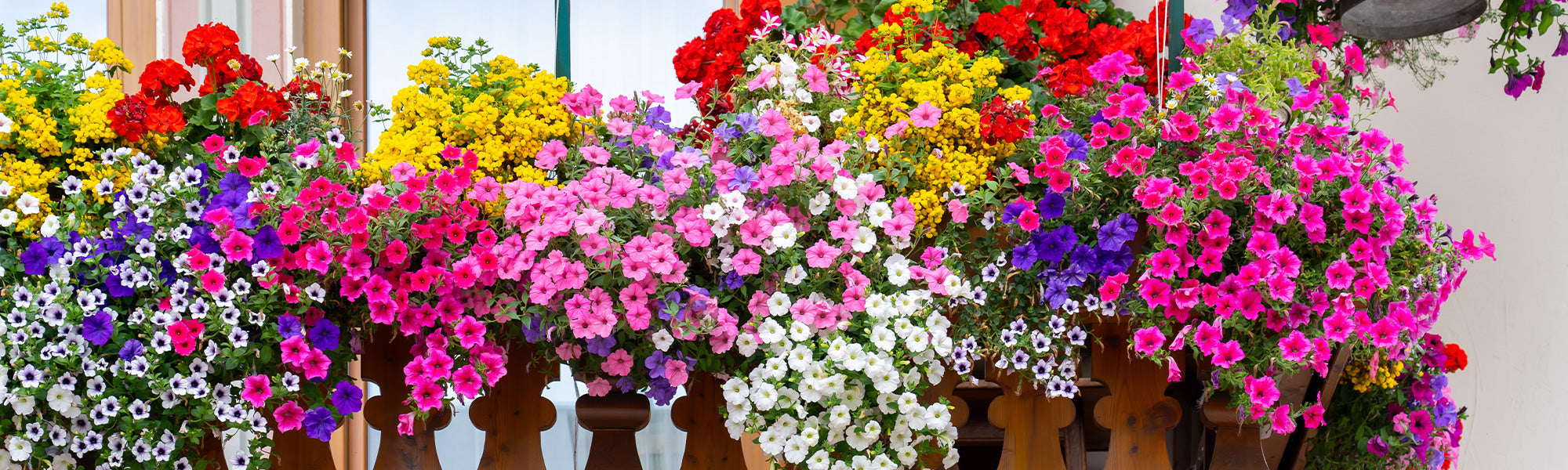 Een fleurig balkon tot 30%