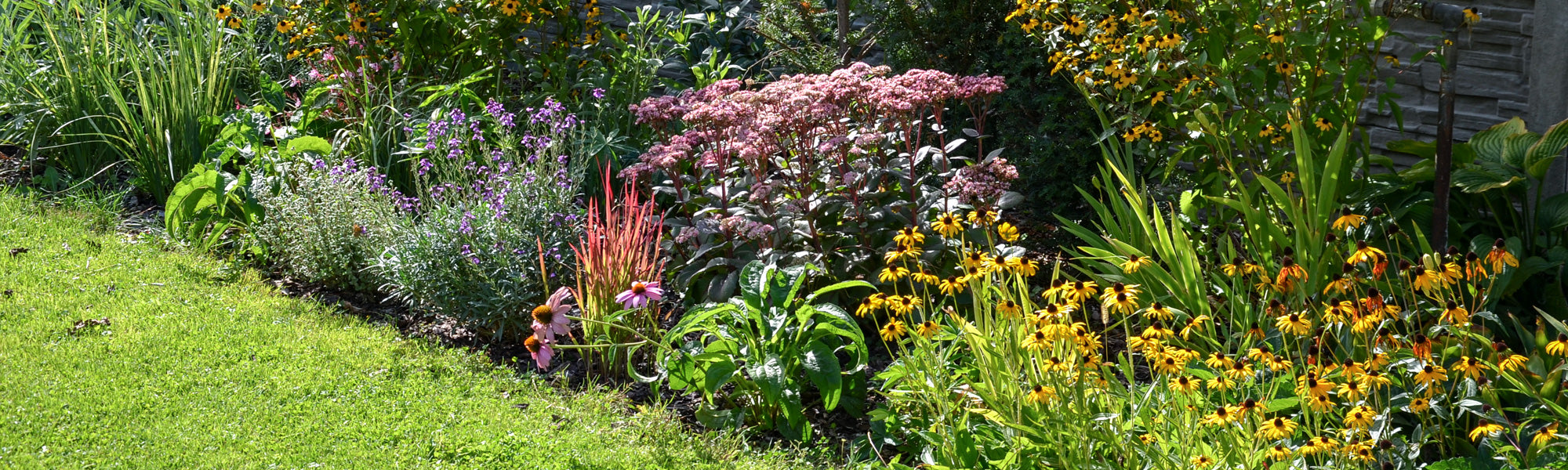 Laatbloeiende planten tot 30% korting!