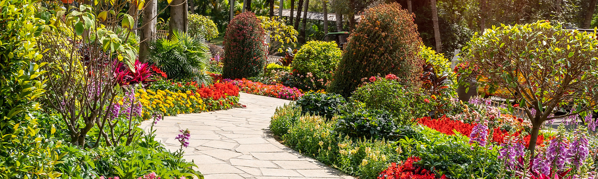 Uitzonderlijke verlenging: Willemse Dagen tot -50%