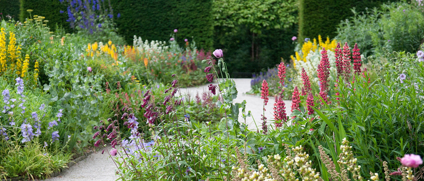 Een Cottage tuin