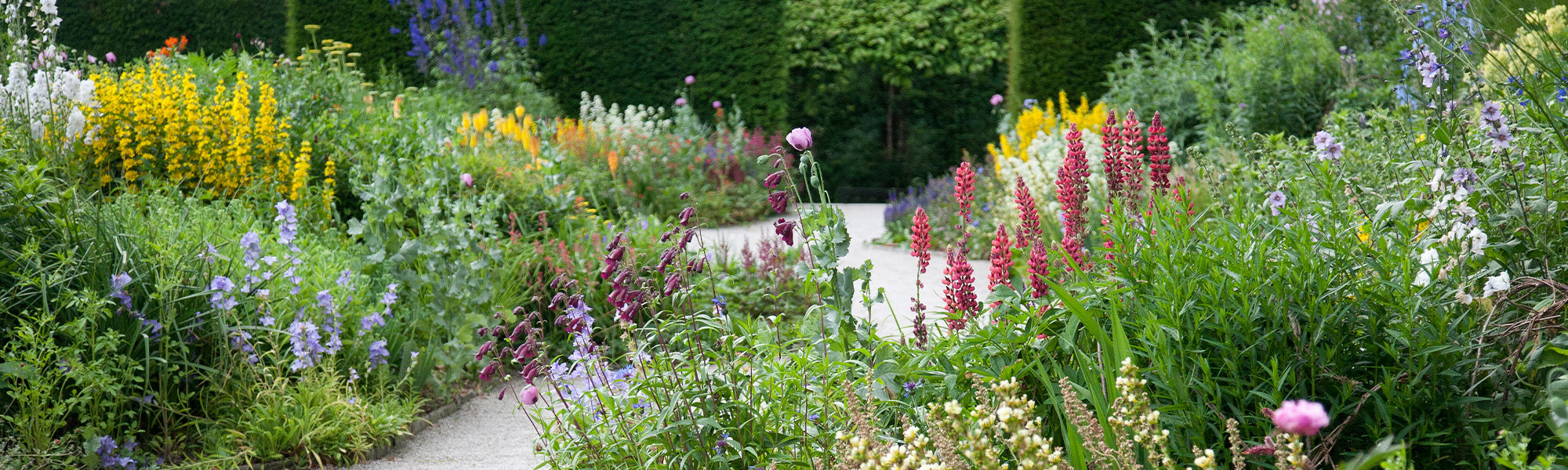 Een Cottage tuin