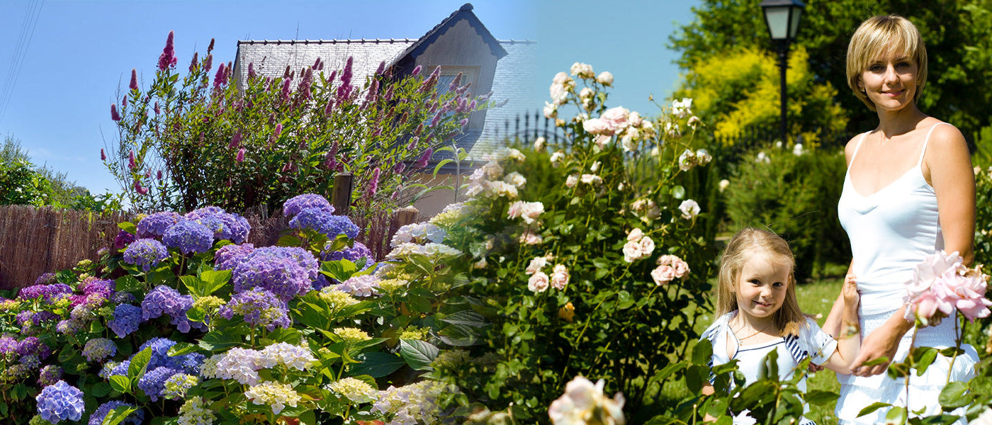 Een tuin vol cadeautjes tot 30% korting!