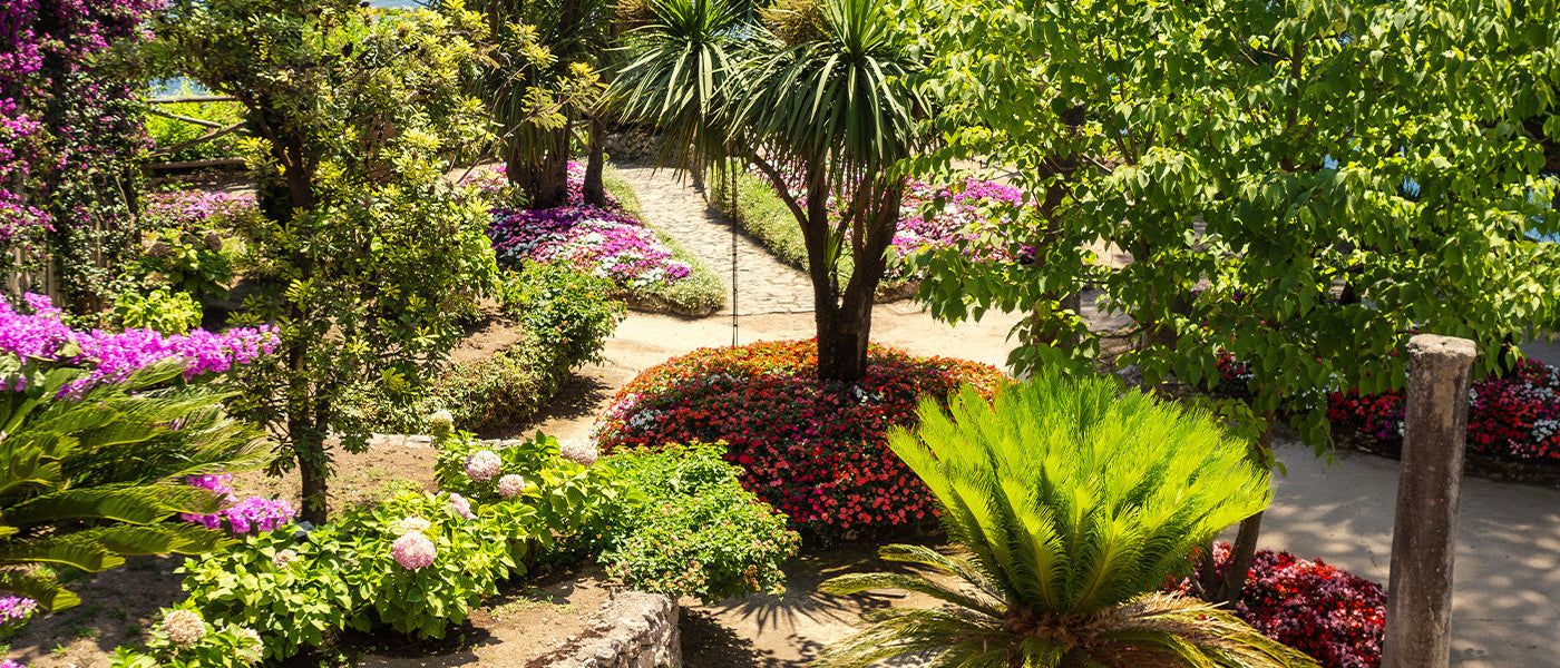 Een exotische tuin tot 30% korting!