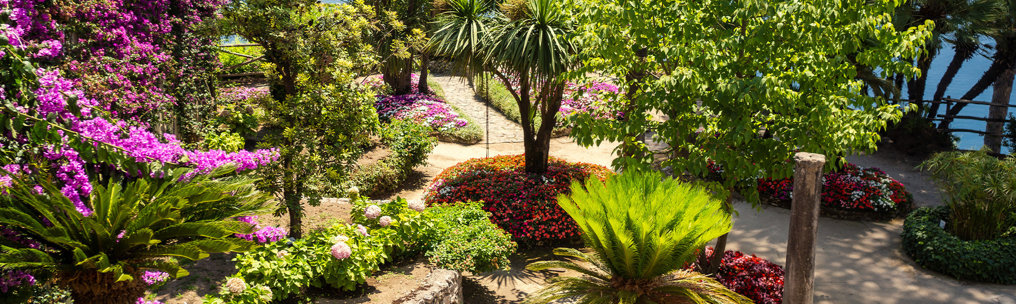 Een exotische tuin tot 30% korting!
