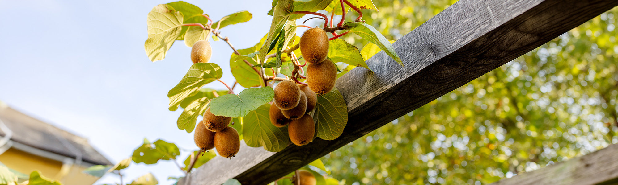 Een smikkeltuin tot 30% korting!