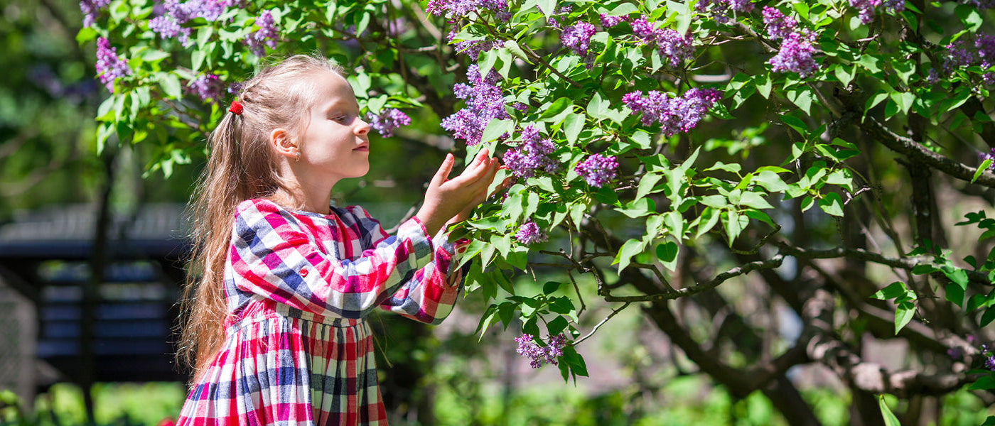 Focus: de zintuiglijke tuin