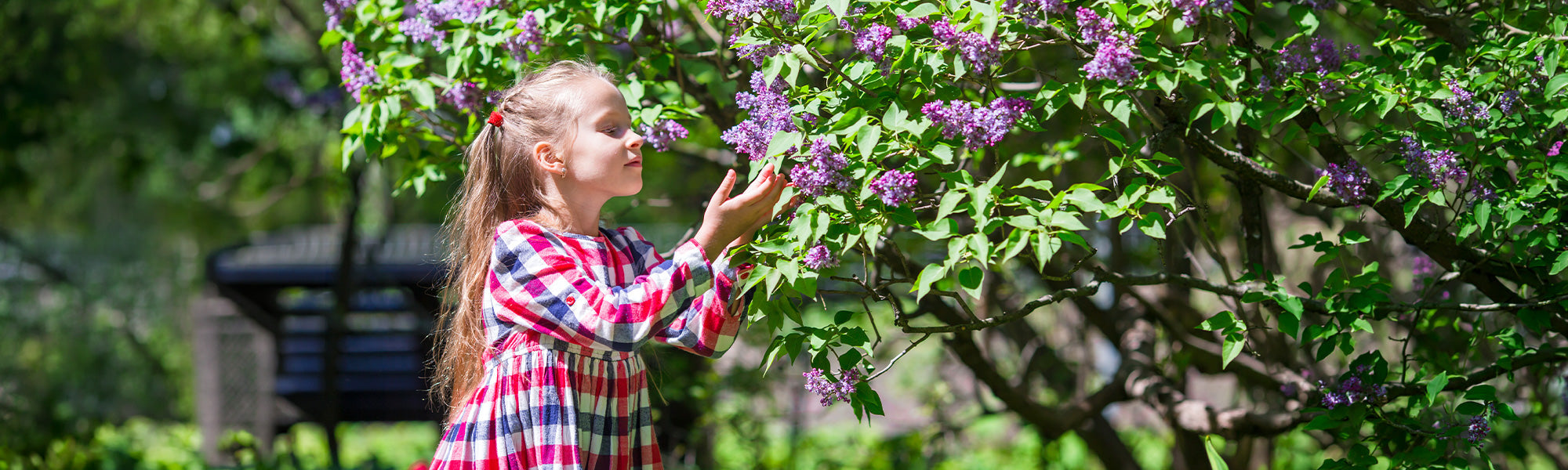 Focus: de zintuiglijke tuin