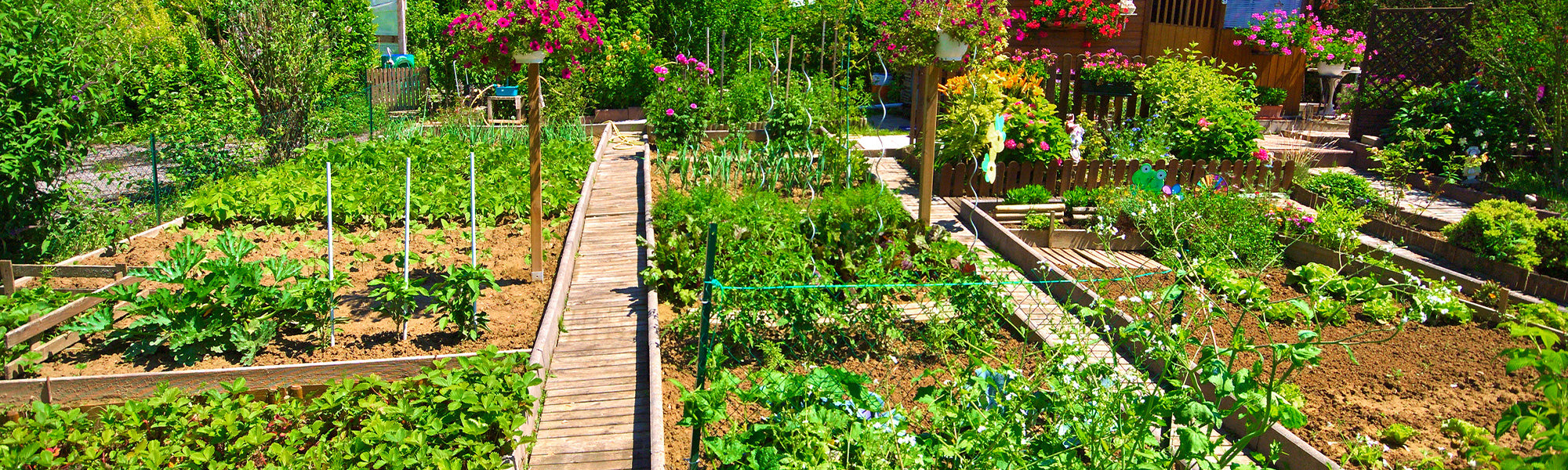 Go voor de moestuin!