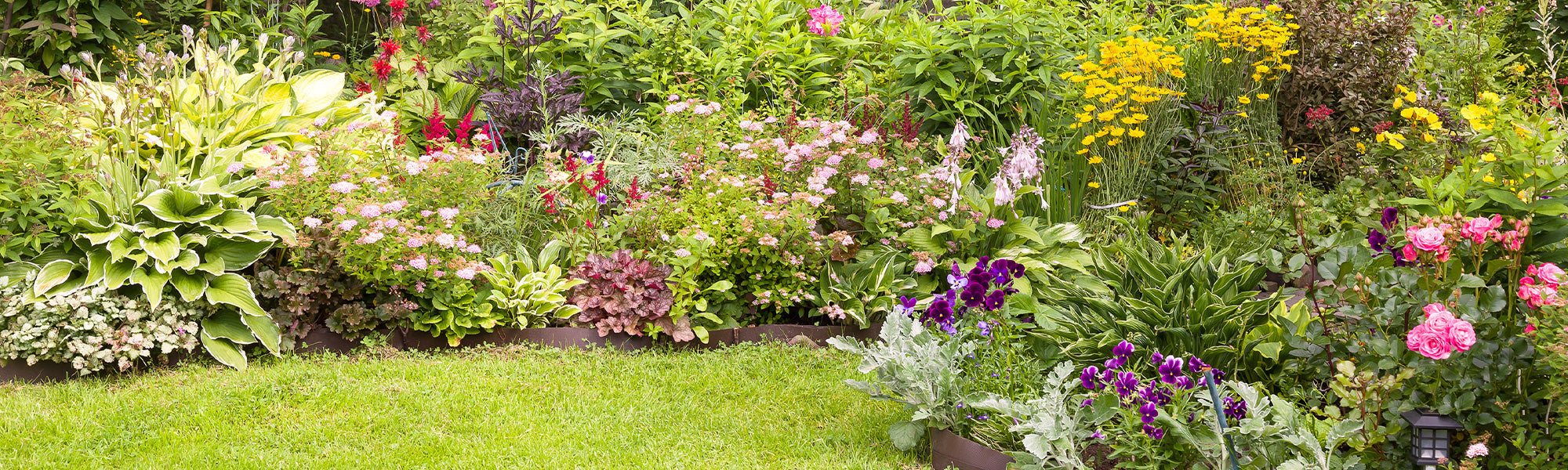 Zomerbloeiende vaste planten tot 30% korting