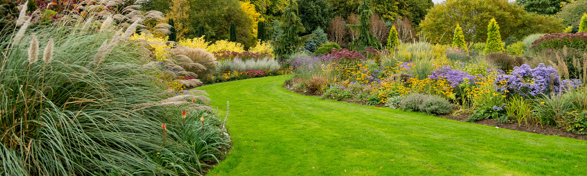 Bananenplant in buitenpot winterbestendig