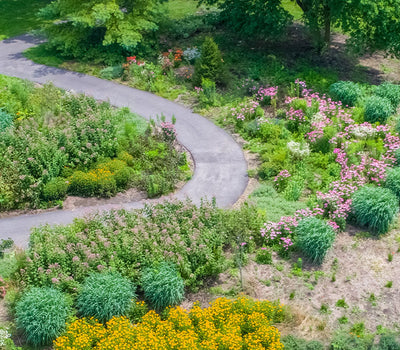 Tuin: Vind een Oplossing