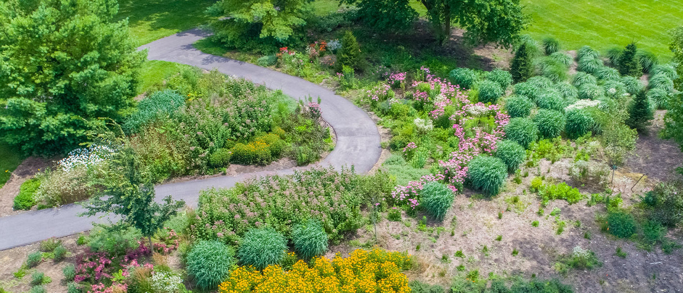 Tuin: Vind een Oplossing