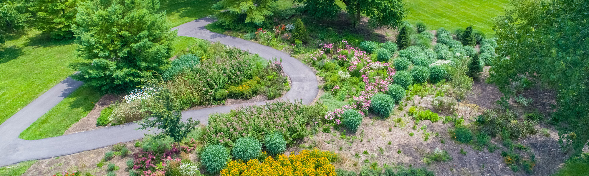 Tuin: Vind een Oplossing