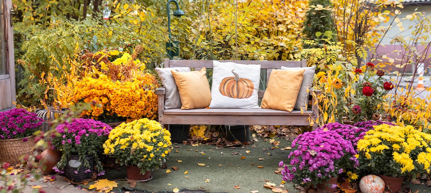 Herfstbloementuin