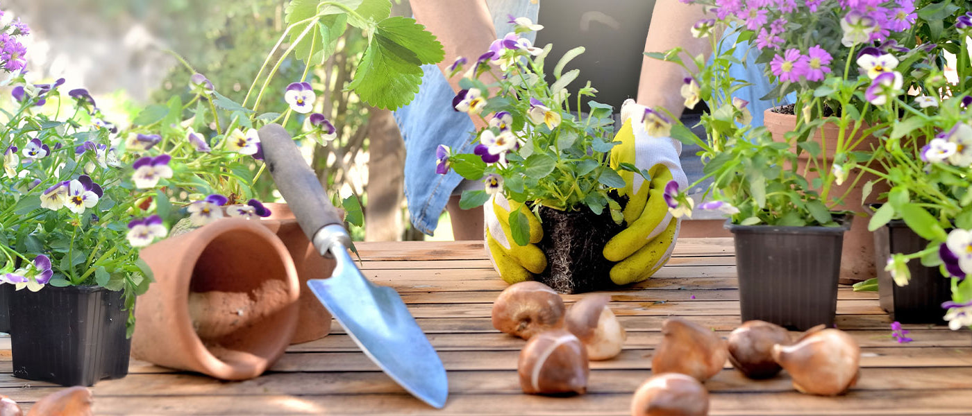Seizoensgebonden bloementuin