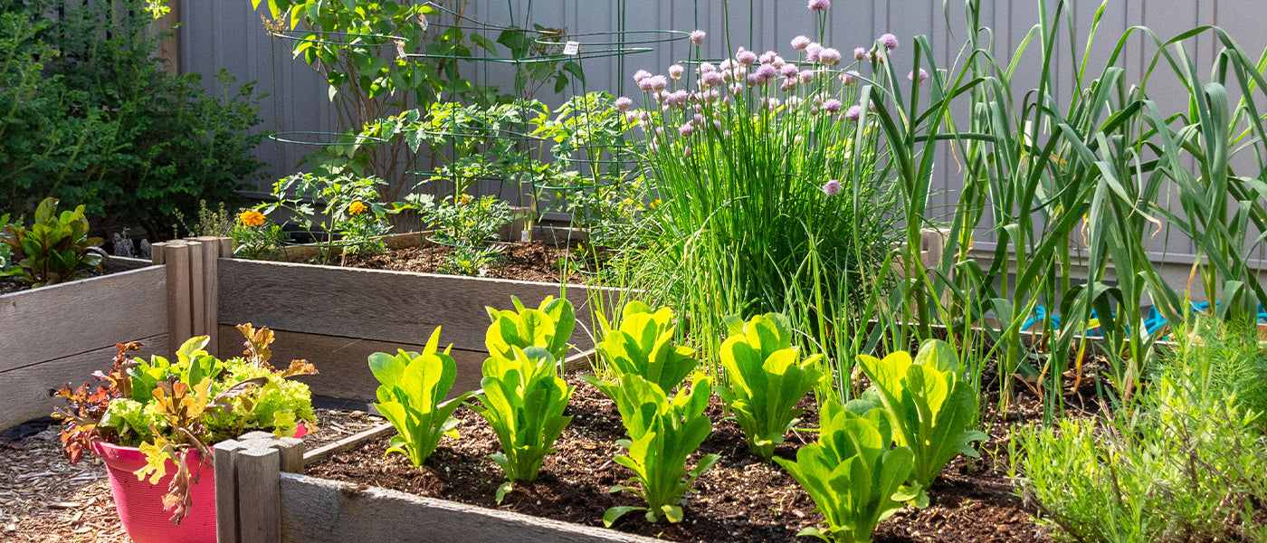 Planten voor kleine ruimtes