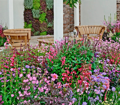 Snelgroeiende planten