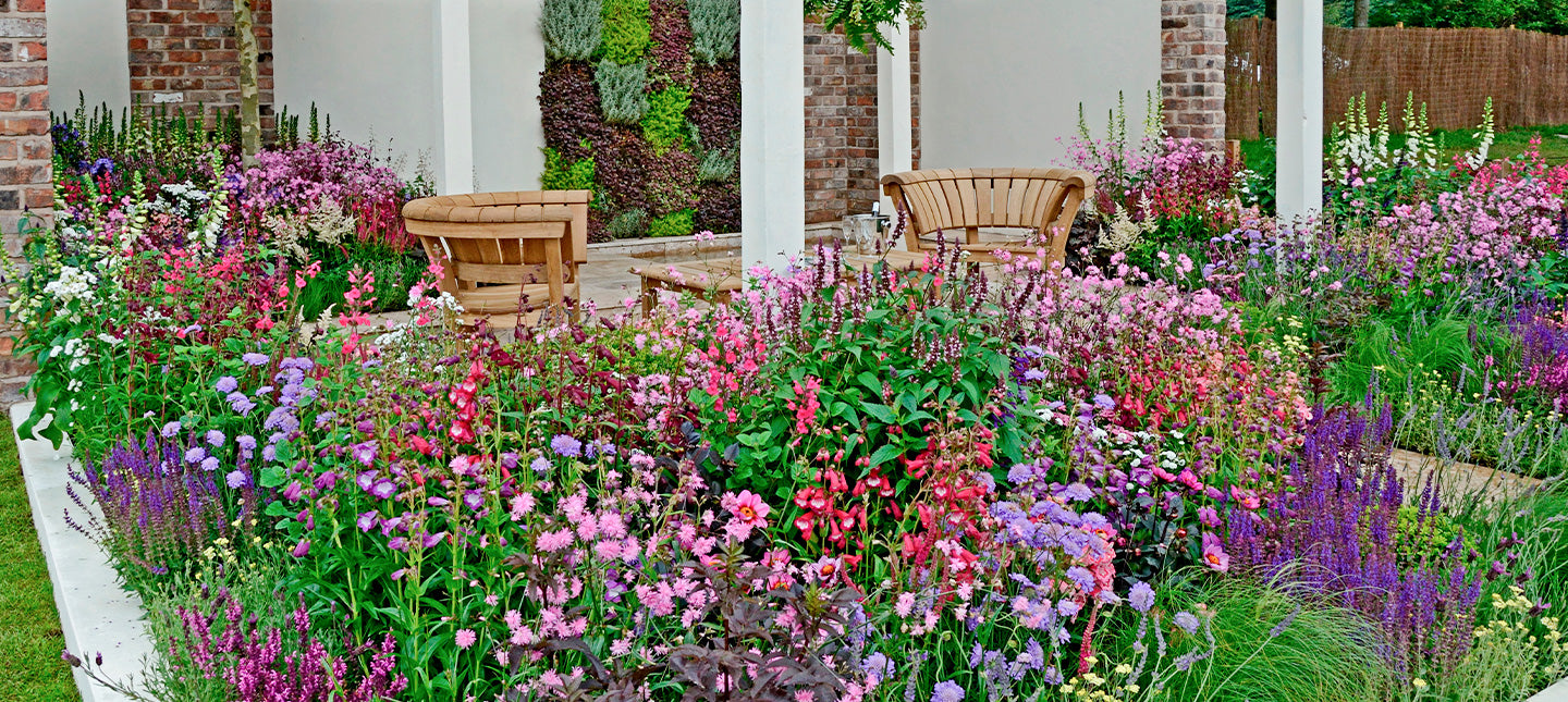 Snelgroeiende planten
