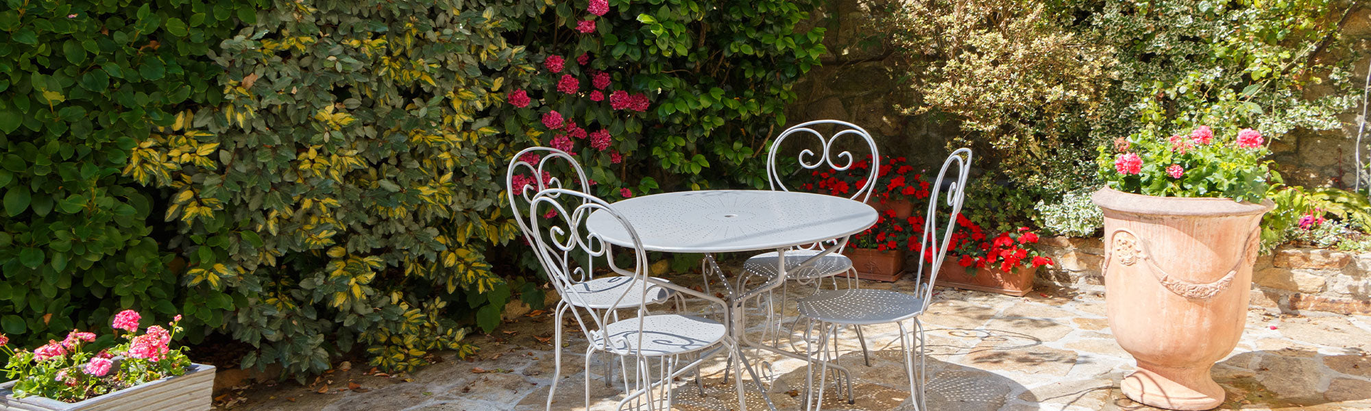 Bloeiende planten voor het terras