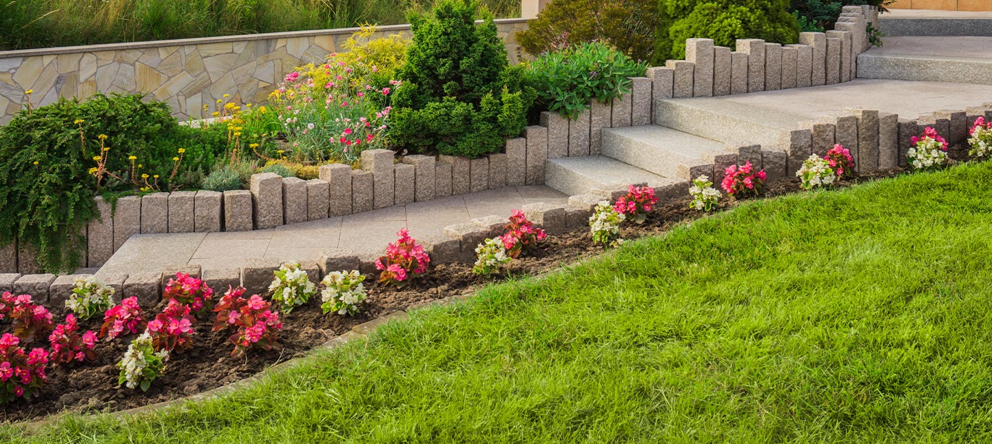 Planten voor paden en borders