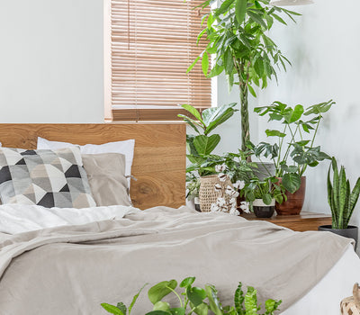 Planten voor de slaapkamer