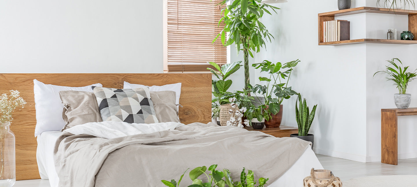 Planten voor de slaapkamer