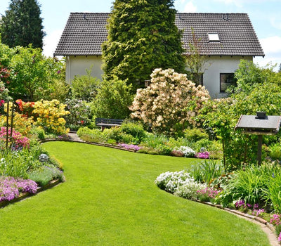 Planten voor een gematigde tuin