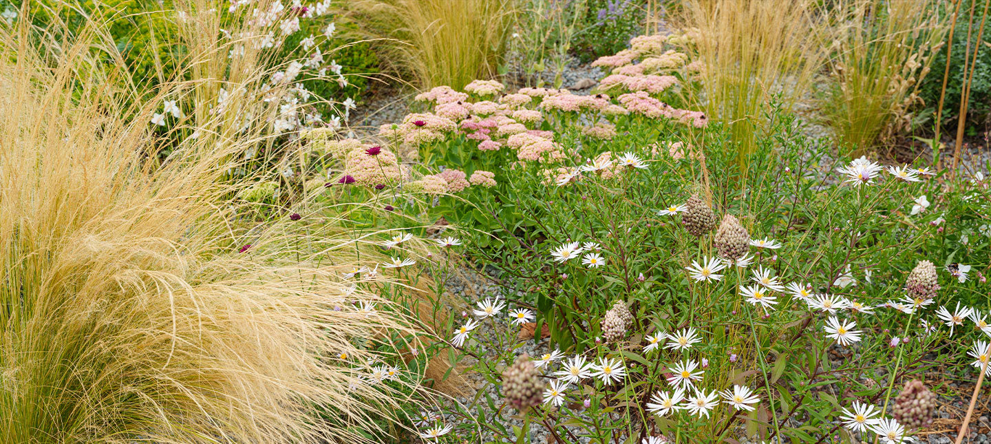 Weerbare planten