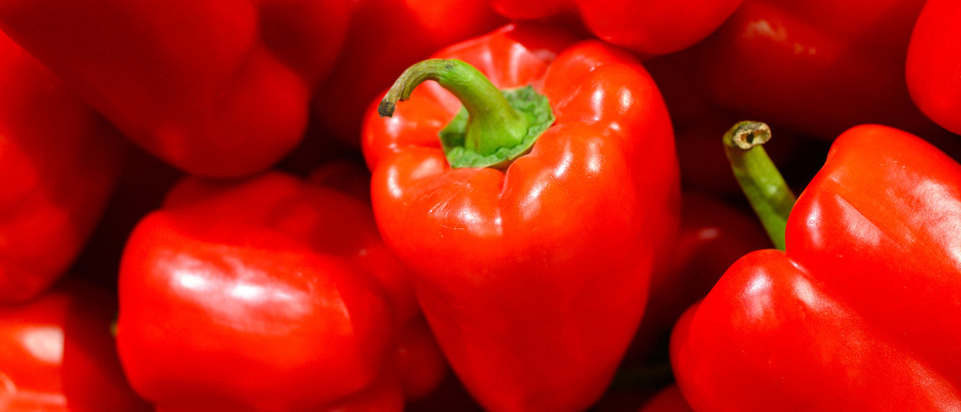 Paprika- en peperplanten