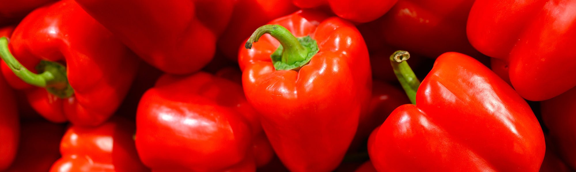 Paprika- en peperplanten