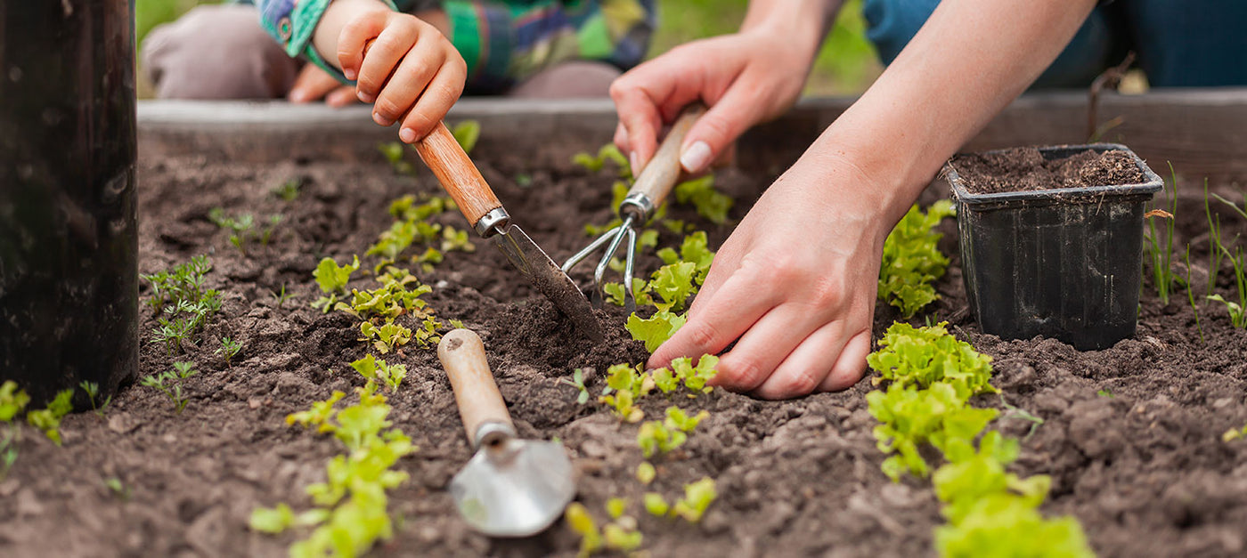 Makkelijke Moestuin