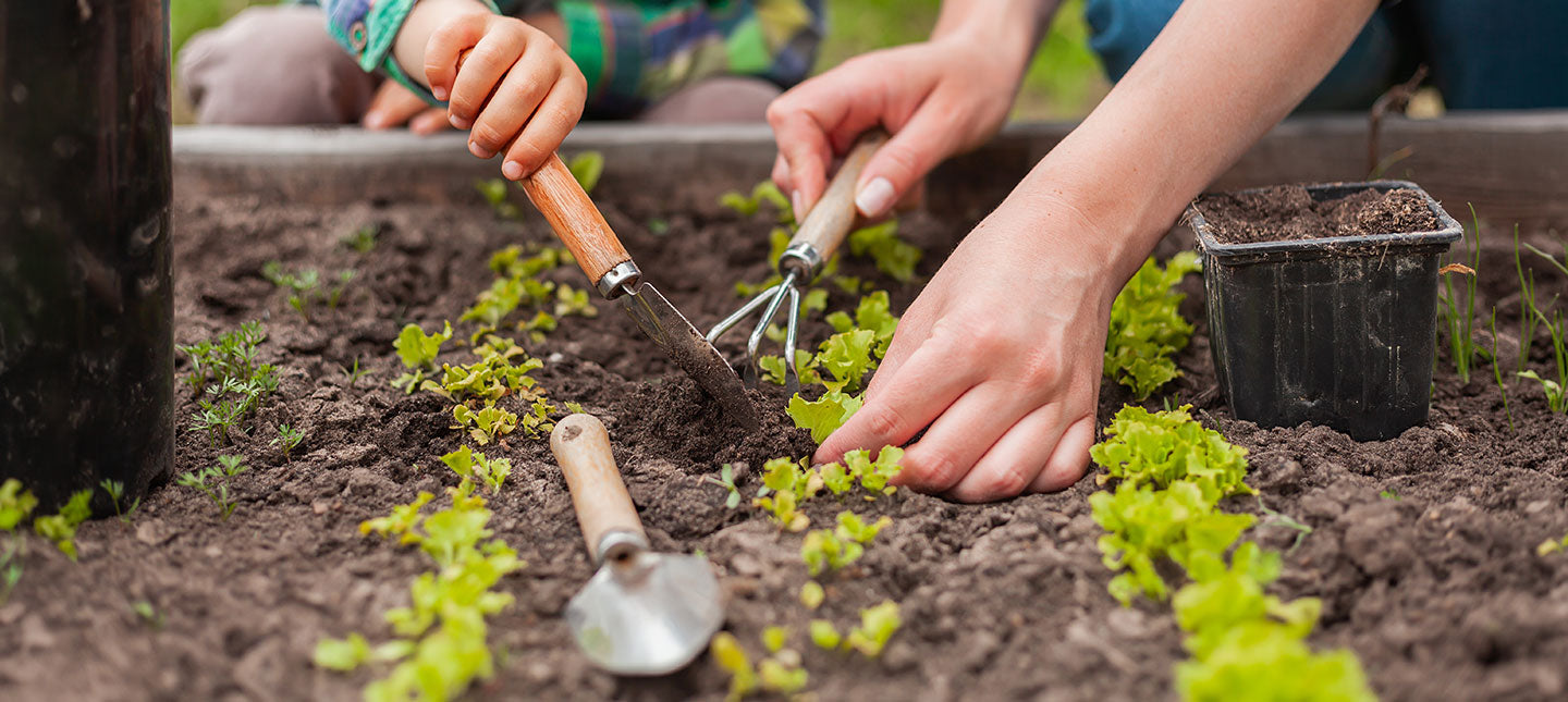 Makkelijke Moestuin