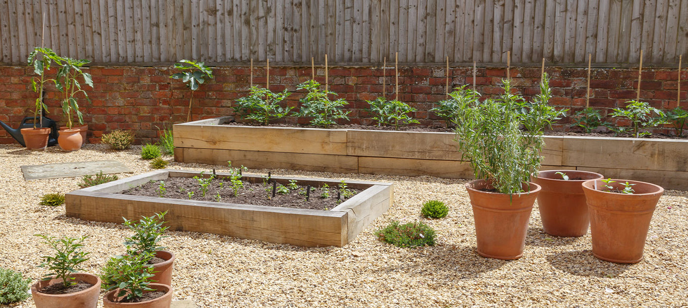 Moestuin op een terras