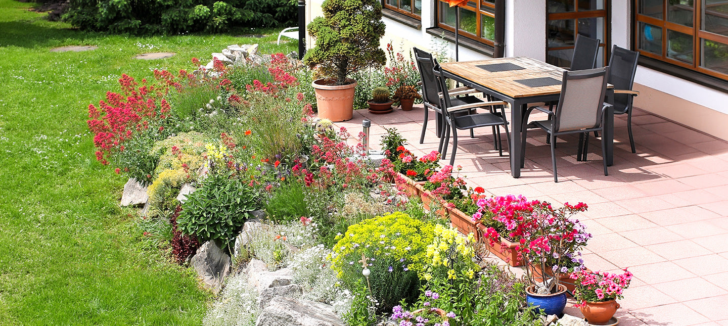 Kleurrijk Terras