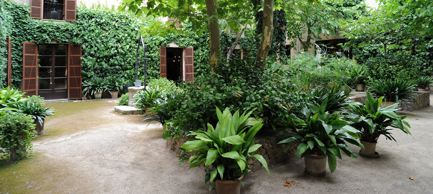 Beschutte terras