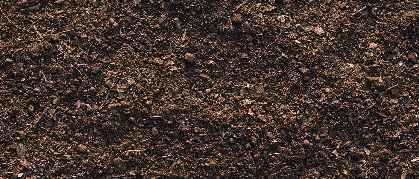 Grond, mulch en drainage