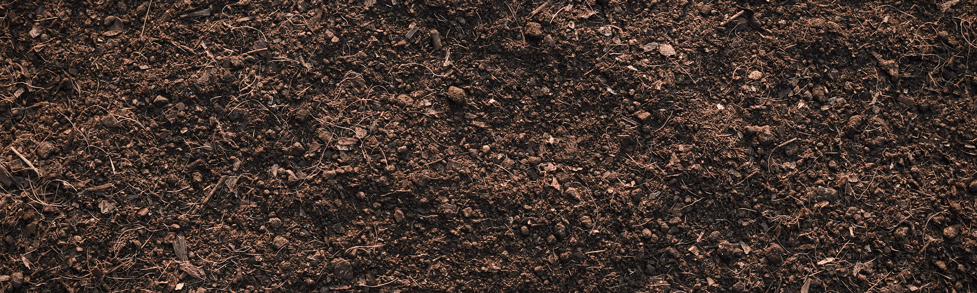 Grond, mulch en drainage