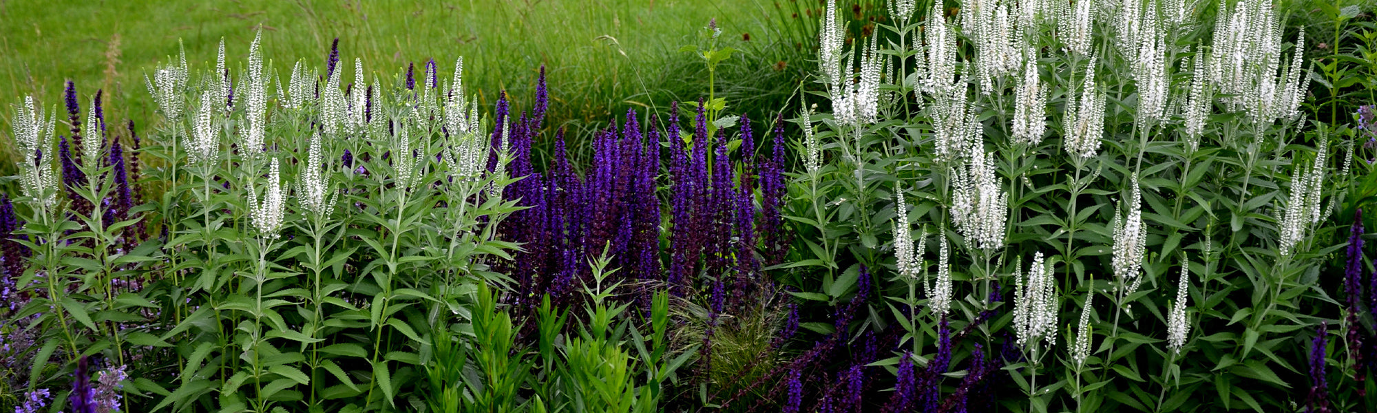 Véronique's Tuinparels