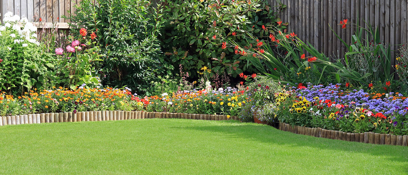 De tuin