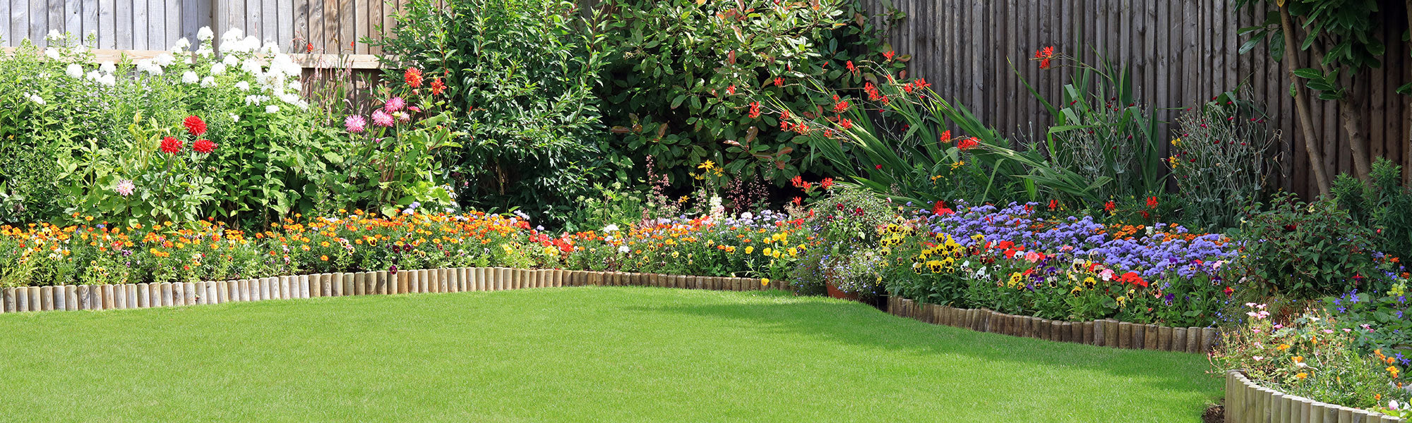 De tuin