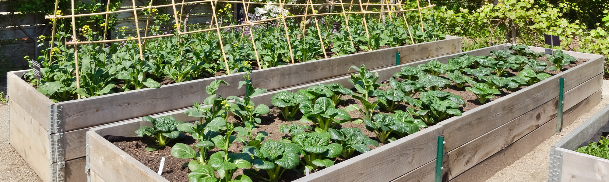 Een persoonlijke moestuin