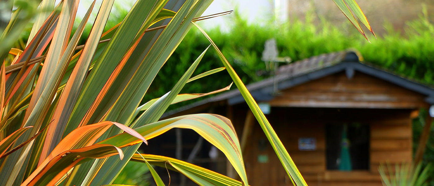 Tuinhuizen en opslagruimtes