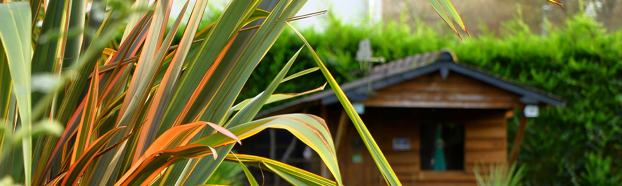 Tuinhuizen en opslagruimtes