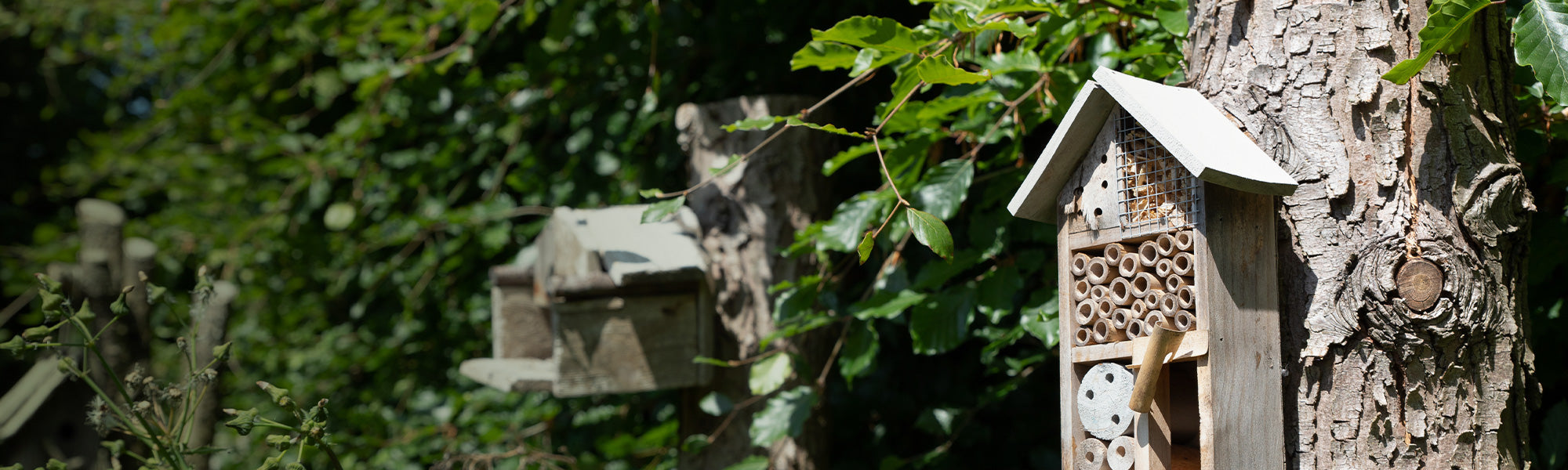 Dierenbenodigdheden en accessoires